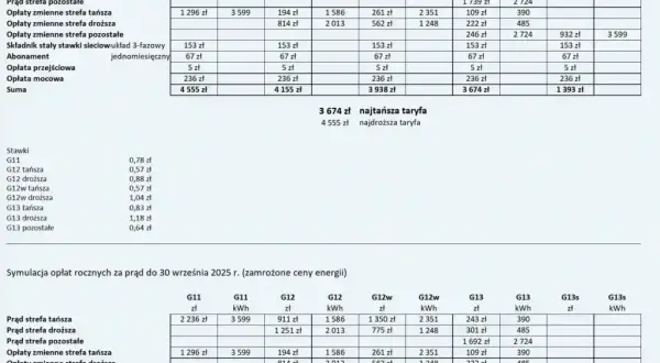 Cena kWh energii elektrycznej w Tauronie? Odpowiedź